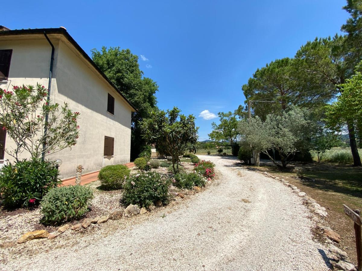 8380 - Pian Del Molino *