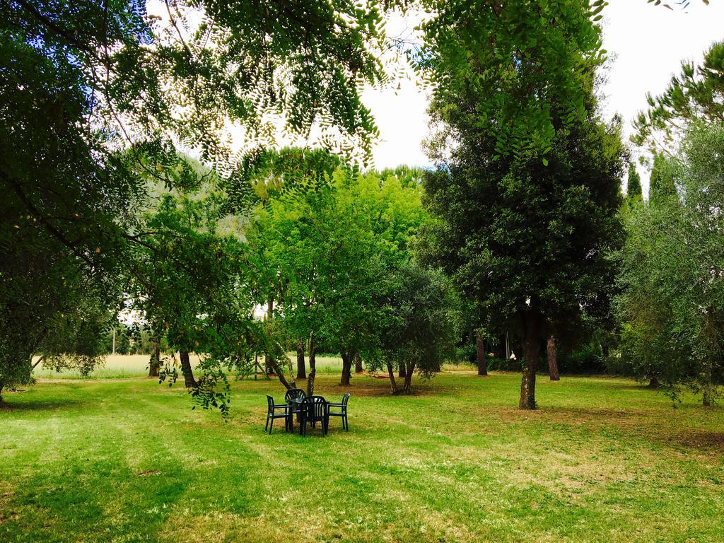 8380 - Pian Del Molino