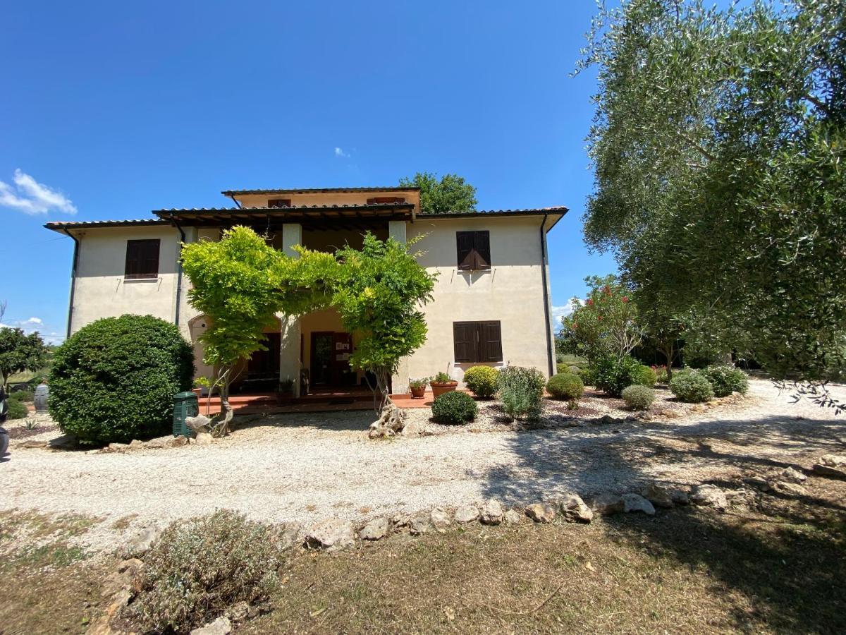 8380 - Pian Del Molino *